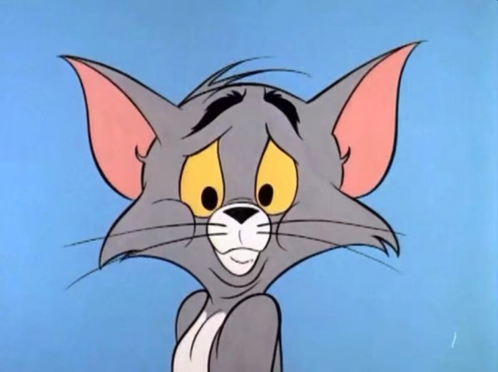 狗狗呕吐死亡：揭开背后的真相